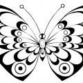 Отличная бабочка - раскраска №11211