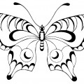 Чудесная бабочка - раскраска №8549
