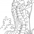 Гусеница ест - раскраска №5927