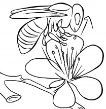 Пчела на цветке - раскраска					№11422