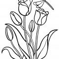 Стрекоза на тюльпанах - раскраска №11248