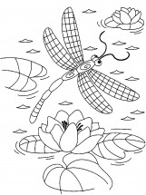 Стрекоза с крыльями в клеточку - раскраска					№2125