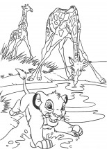 Симба и жирафы на водопое - раскраска					№10848