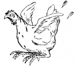 Испуганная курица - раскраска					№12747