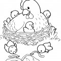Курица и семеро цыплят - раскраска №4120