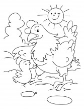 Курица и солнышко - раскраска					№10384