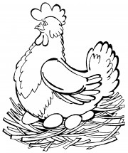 Курица на насесте - раскраска					№9887