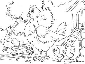 Курица на птичьем дворе - раскраска					№13961