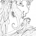 Морской конек с детенышем - раскраска №14033
