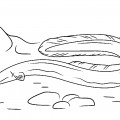 Длинный морской угорь - раскраска №2426