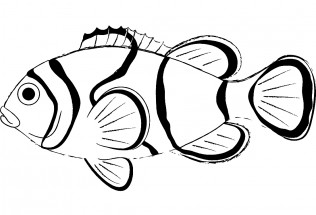 Мультяшная милая и забавная раскраска рыба-клоун - векторное изображение EPS