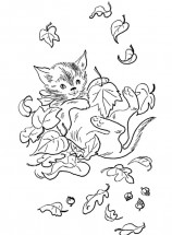 Котенок в осенних листочках - раскраска					№10446