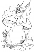 Осенний грибочек - раскраска					№4184