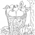 Осенний урожай в корзине - раскраска №13655