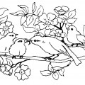 Птицы и весенние цветы - раскраска №11016