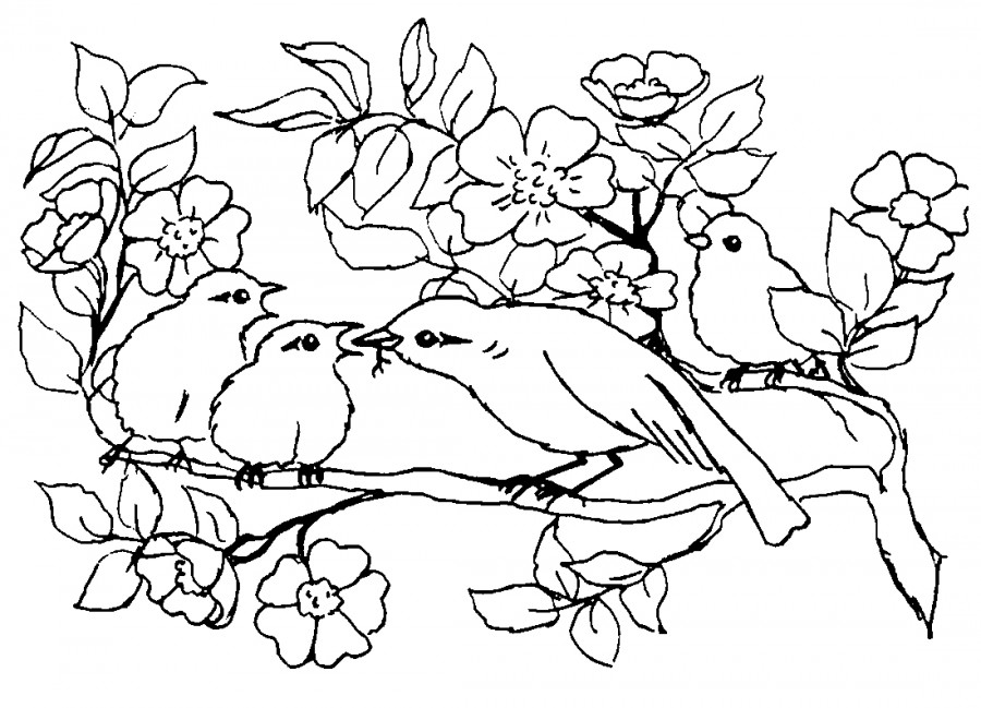 Птицы и весенние цветы - раскраска №11016