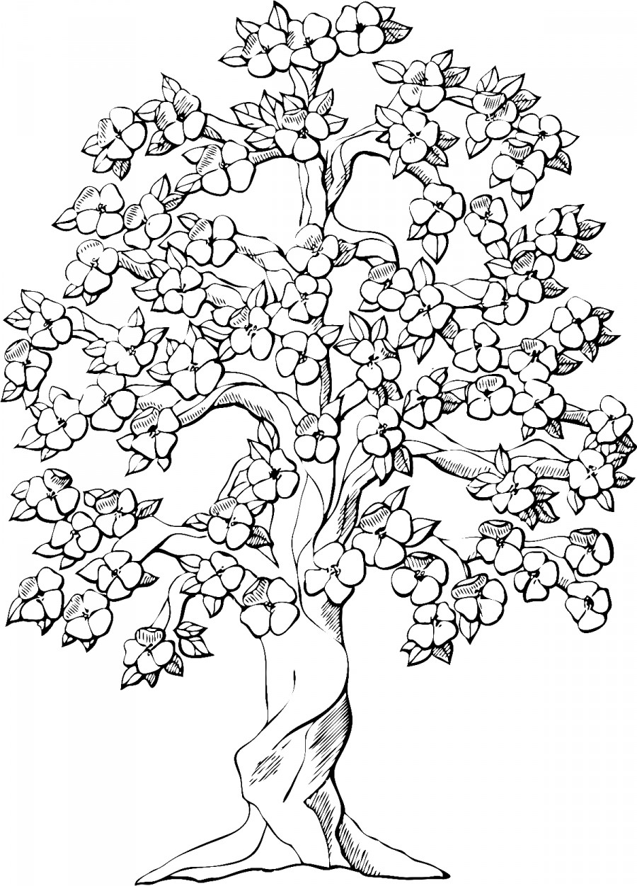 Цветущее дерево - раскраска №13936