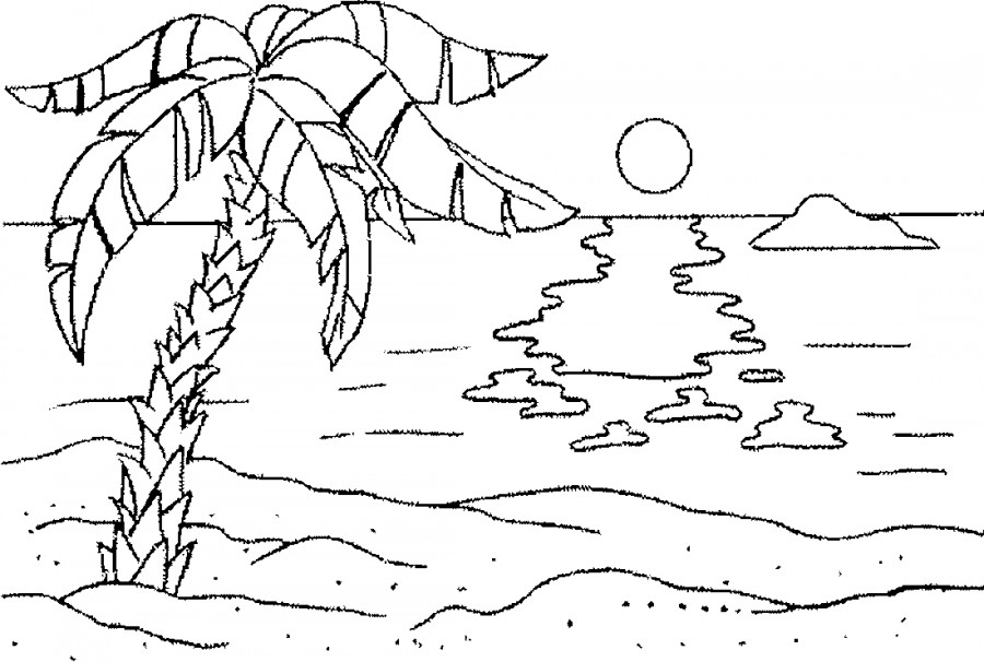 Пальма и море - раскраска №14100