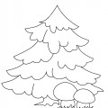 Лесная елка - раскраска №11282