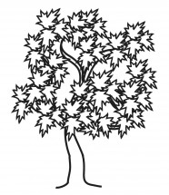 Кленовое дерево - раскраска					№14084
