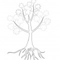 Кленовое деревце - раскраска №11150