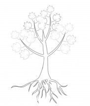 Кленовое деревце - раскраска					№11150