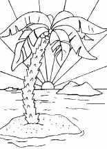 Высокая пальма - раскраска					№11209