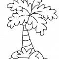 Одинокая пальма - раскраска №6635
