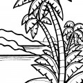 Пальма на фоне моря - раскраска №8072