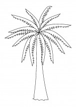 Финиковая пальма - раскраска					№11252