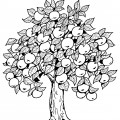 Красивая яблоня - раскраска №13340