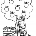 Яблоня и урожай - раскраска №9682
