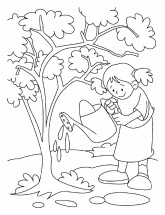Девочка поливает дерево - раскраска					№4174
