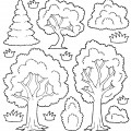 Много разных деревьев - раскраска №13422