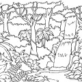 Тропические деревья - раскраска №11787