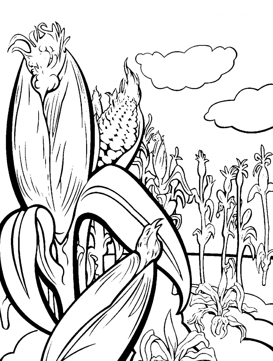 Кукуруза в поле - раскраска №10223