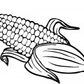 Початок кукурузы - раскраска №9782