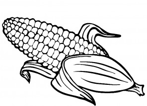 Початок кукурузы - раскраска					№9782