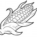 Спелая кукуруза - раскраска №11678