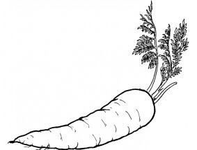 Морковка с зеленью - раскраска					№11894