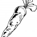 Морковь с тенью - раскраска №9976
