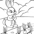 Заяц посадил морковь - раскраска №3347