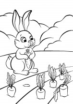 Заяц посадил морковь - раскраска					№3347