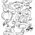 Овощи россыпью - раскраска №12682