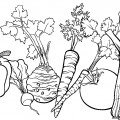 Подборка овощей - раскраска №13227