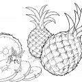 Дольки ананаса - раскраска №9691
