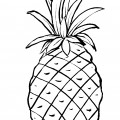 Обычный ананас - раскраска №13505