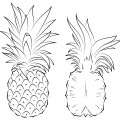 Полтора ананаса - раскраска №13405
