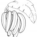 Гроздь бананов - раскраска №5956