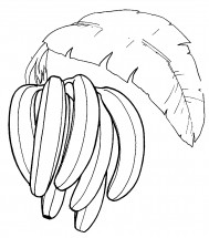 Гроздь бананов - раскраска					№5956